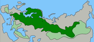 PSylvestris GlobalDist 300px